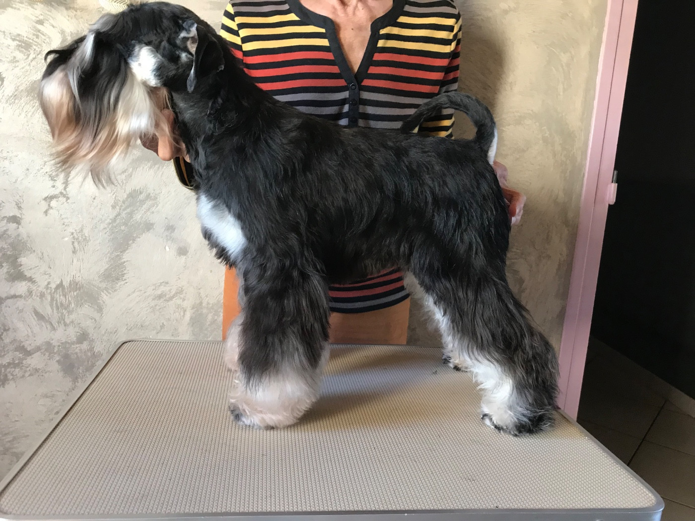 U Won my Heart des forbans du Roc d'Hervieux