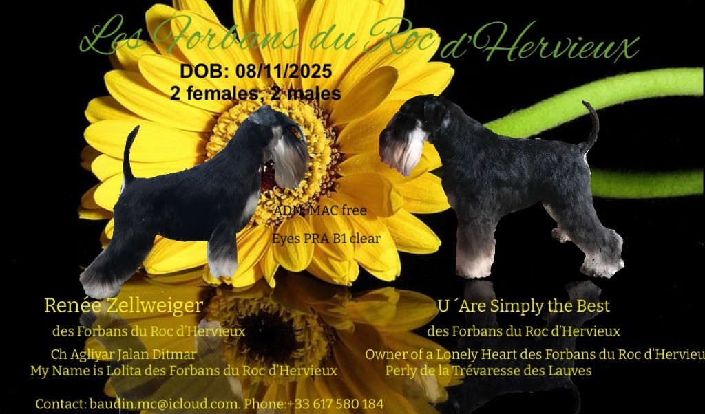 des forbans du Roc d'Hervieux - Naissance le 11/08/2025